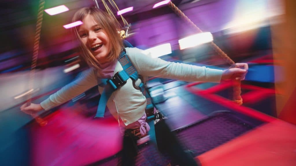 Sky Rider Indoor Zipline