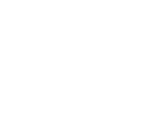 The Little Gym